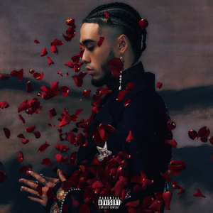 美女又黄又刺激又爽
