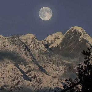 奖励软件大全免费
