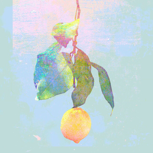 又粗又猛又大爽又黄老大爷视频
