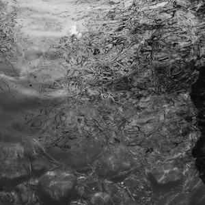 国产91在线播放蘑菇0000
